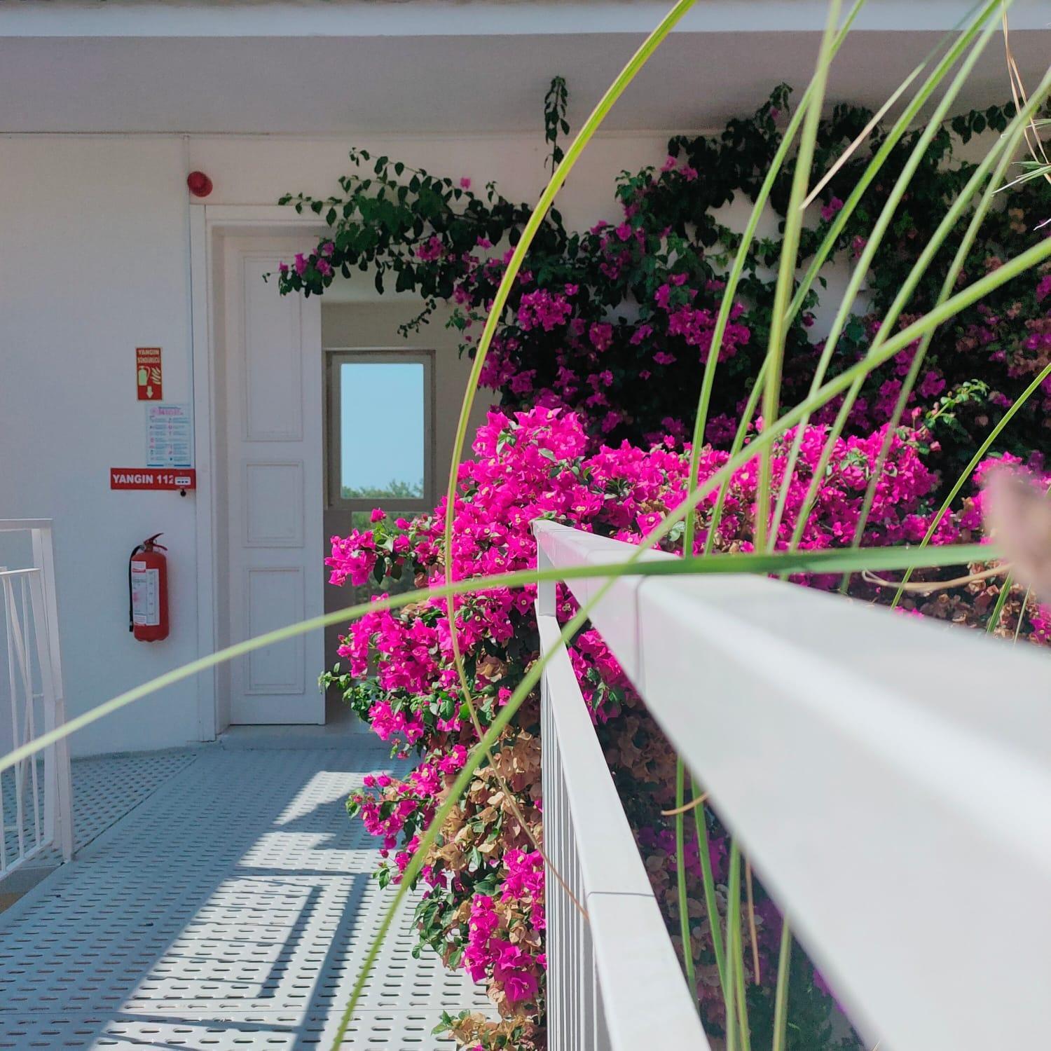 Faralya Tuz Apart Hotel Exterior photo